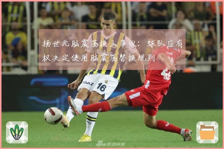 杨世元脑震荡换人争议：球队应有权决定使用脑震荡替换规则